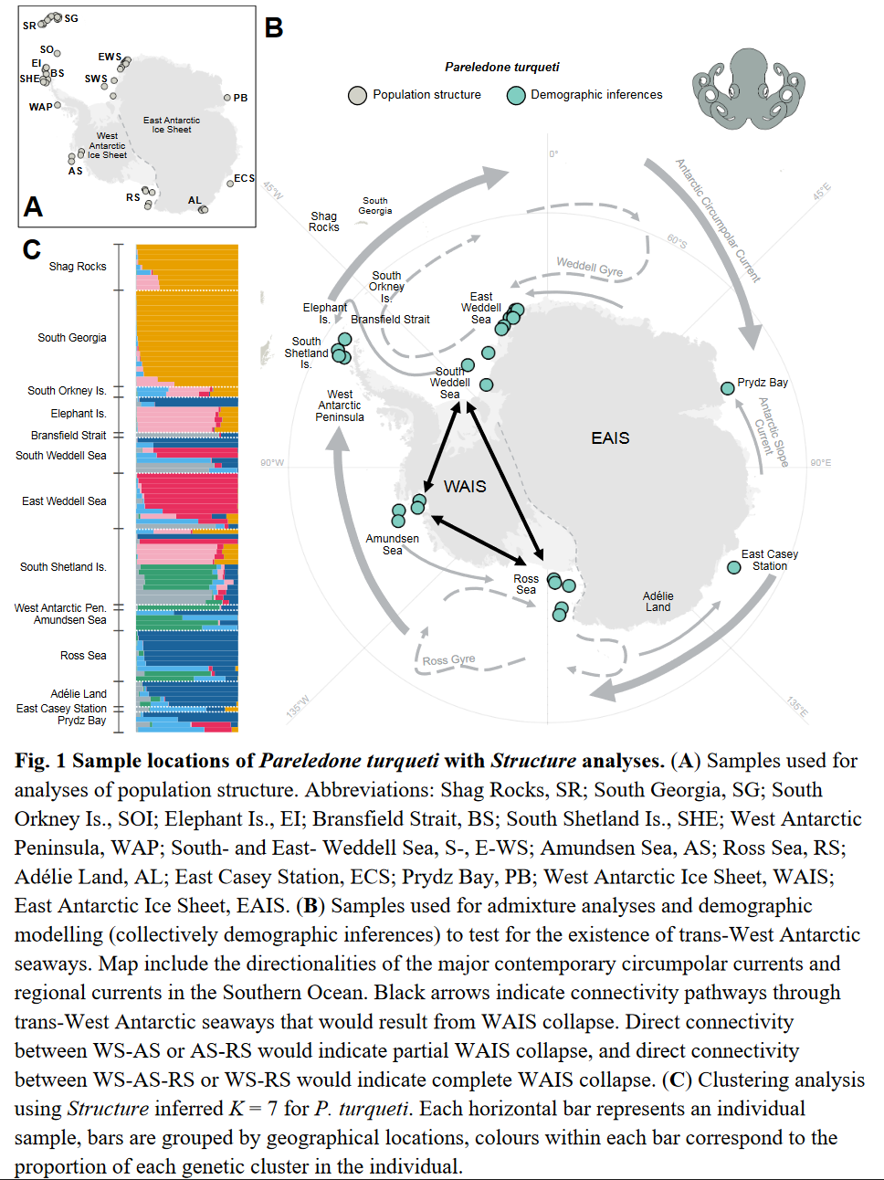 Lau et al (2023), Fig. 1